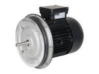 Электродвигатель Weishaupt W-D112/140-2/3K0