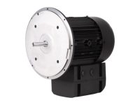 Электродвигатель Weishaupt WM-D112/140-2/3K5, 21520407300