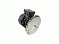 Электродвигатель Weishaupt W-D90/110-2/1K5