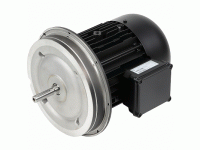 Электродвигатель Weishaupt WM-D112/140-2/3K5, 21520407010