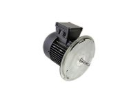 Электродвигатель Weishaupt W-D90/90-2/1K0