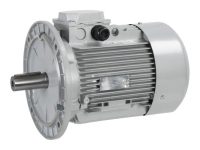 Электродвигатель CIB Unigas IMM 132 SB2 Y2 IM308 7.5 кВт, 2180206P