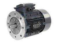 Электродвигатель CIB Unigas T3A 90L2-2, 2181010
