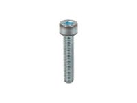 Винт Weishaupt M5 X 25, 402249